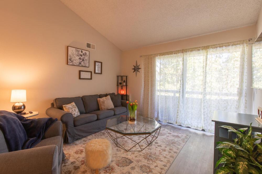 Huge Oceanside Private 2BR Apartment-Pool-Gym-Spa